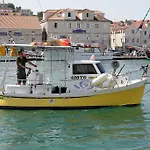 Pika Smokvina 2a Vinišće