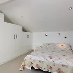 Pika Smokvina 2a